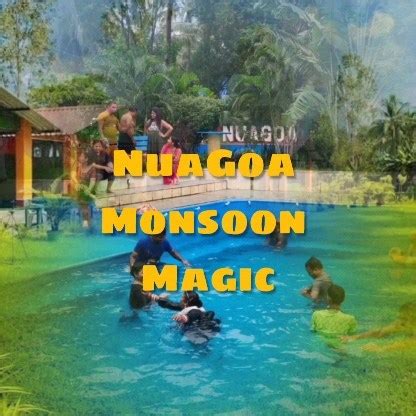 NuaGoa Nature Retreat (@nuagoa.estate) • Instagram photos .